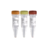 VAHTS RNA Multiplex Oligos Set1- Set2 for Illumina 商品缩略图0