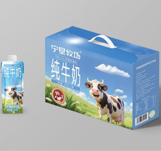 宁垦牧场·纯牛奶3.6g优质乳蛋白 250g*10盒  乳香浓郁，口感丝滑 商品图2