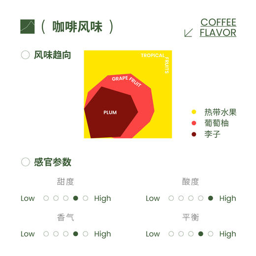 风野颂 云澜庄园云澜赤霞日晒 精品手冲咖啡豆-Z 商品图2