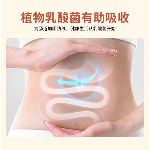 东农哈豆典乳酸菌酸菜丝（杀菌型）500g 商品图4