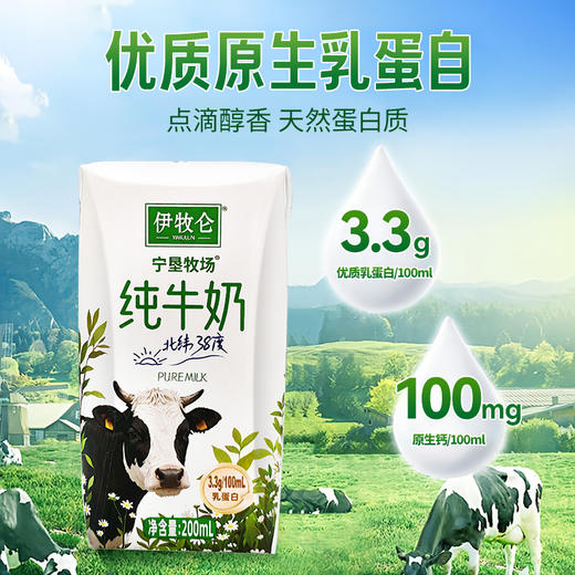 宁垦牧场·伊牧仑纯牛奶200ml*10盒  伊牧仑“三好”纯牛奶 商品图4