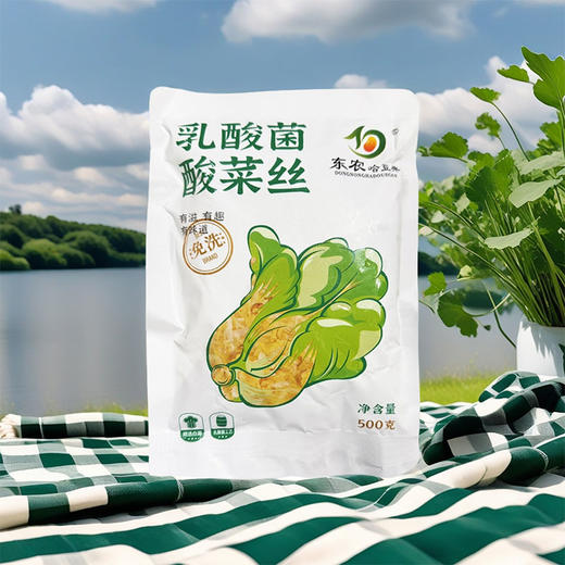 东农哈豆典乳酸菌酸菜丝（杀菌型）500g 商品图1