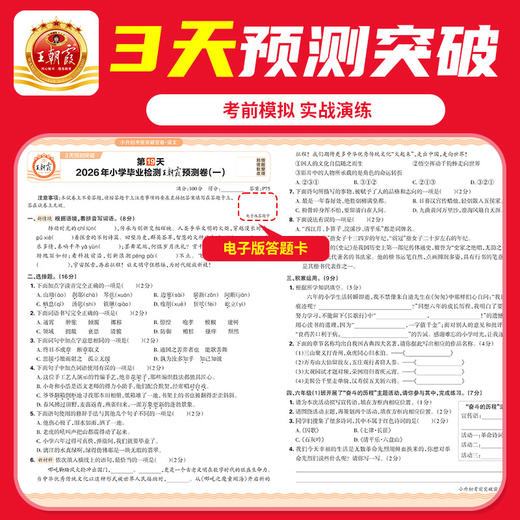 2026小升初考前突破密卷语数英各地通用真题试卷综合能力验收 商品图4