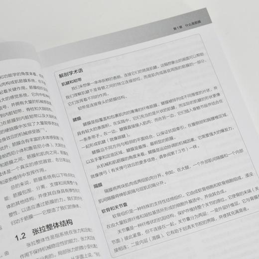 筋膜训练 改善灵活性 提升运动表现 促进恢复的科学训练指南 商品图4