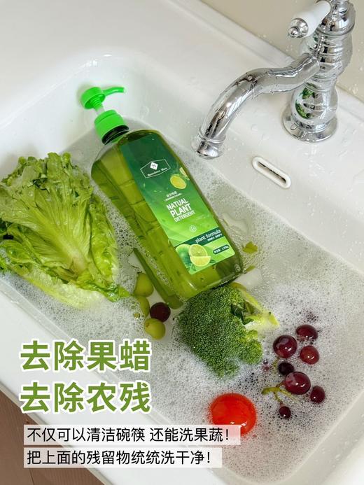 买一送一【MemdrsMerk山姆同款高效洗洁精】1.25kg*2瓶轻松去油污 厨房餐具玻璃器皿、果蔬都搞定山姆同款高效洗洁精果蔬净温和护手油污干净纯植物配方，不含化学元素添加剂 商品图6