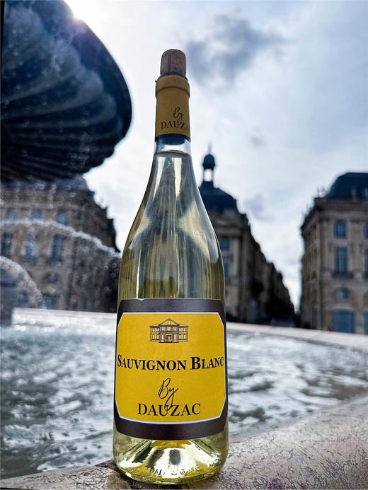 杜扎克 IGP(宝满) 干白葡萄酒六支装750ml*支 商品图4