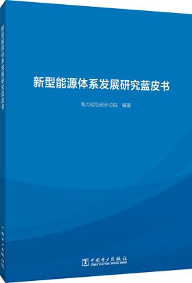 新型能源体系发展研究蓝皮书