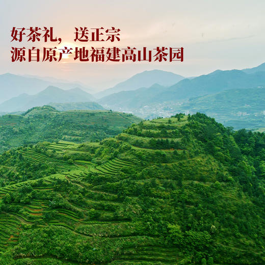 八马茶业 | 好运连连系列茶礼清香铁观音、金骏眉、大红袍组合装256g 商品图1