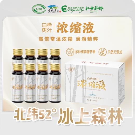 北方神桦白桦树汁浓缩液50ml*8瓶/盒 植物饮料 商品图5