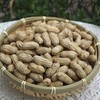 010小籽花生| Peanut 两籽精品 2025年新货 2亩地精选210斤 湖南杨林老品种小籽花生 富硒 口感香甜细腻 商品缩略图6