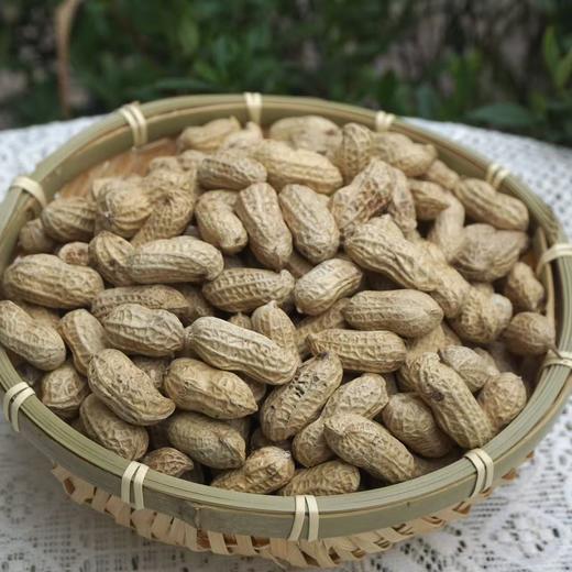 010小籽花生| Peanut 两籽精品 2025年新货 2亩地精选210斤 湖南杨林老品种小籽花生 富硒 口感香甜细腻 商品图6