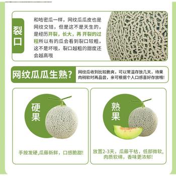 京鲜生网纹瓜 单果2斤起 净重8-9斤 2-4粒装 生鲜水果源头直发包邮 商品图1