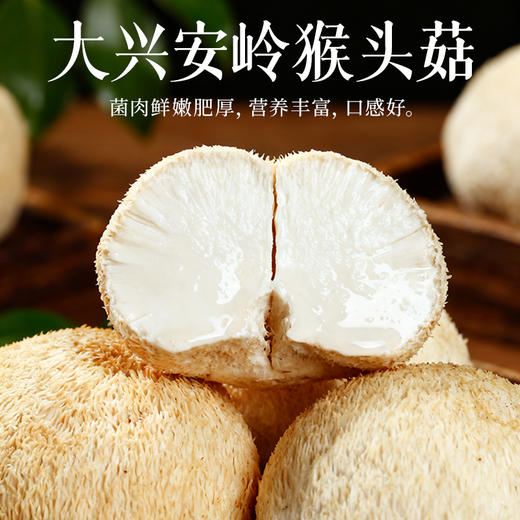 【舌里甄选】轻上东方补者八珍谷物燕麦奶昔猴头菇八珍谷物代餐发酵酸奶饮品 商品图2