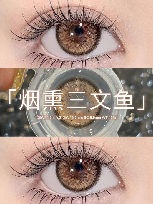 <大直径/中直径>PUFF GIRL-烟熏三文鱼 棕-14.5-14.2mm【半年抛/日抛十片装 0-800度 含525/575】 商品图5