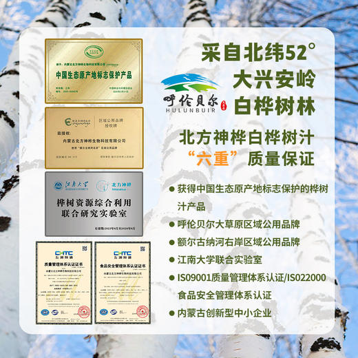 北方神桦 白桦树汁100%原液野生桦树汁水原汁植物饮料 【325ml*4瓶】1箱 商品图4