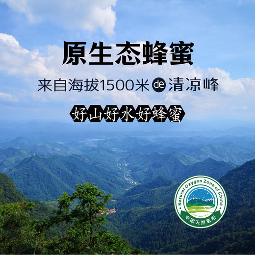 昌西公社清凉峰海拔800米野生土蜂蜜只采原生态蜂蜜 商品图4