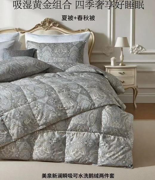 【云粉节】10楼 宜庭  美泉新澜瞬吸鹅绒两件套  吊牌价9800~13800元  活动价2999~3999元 商品图0