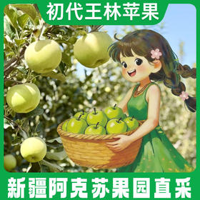 【顺丰快递】新疆阿克苏青甜公主(初代)王林苹果 当季脆甜新鲜青森奶油雀斑青苹果AWJM