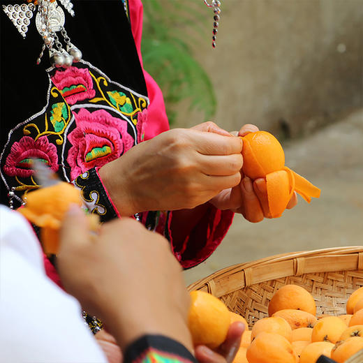 云南蒙自枇杷膏300g 商品图3
