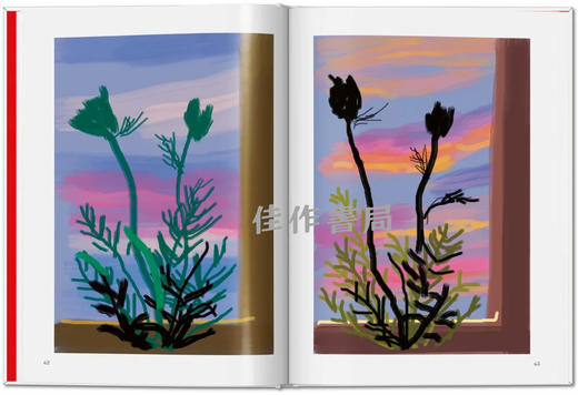 David Hockney. My Window / 大卫·霍克尼. 我的窗户 商品图4