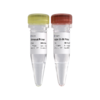 VAHTS Small RNA Index Primer Kit for Illumina 商品缩略图2