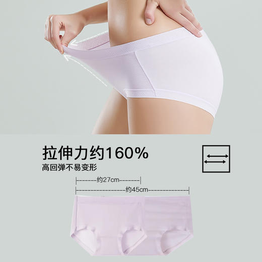 Bimilie 莫代尔聚乳酸内裤 商品图2