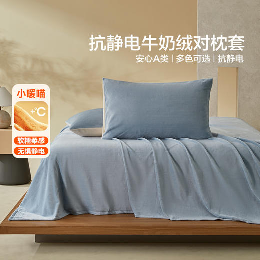 水星家纺A类抗静电牛奶绒对枕套暖绒枕头套一对装双人保暖床品 商品图0