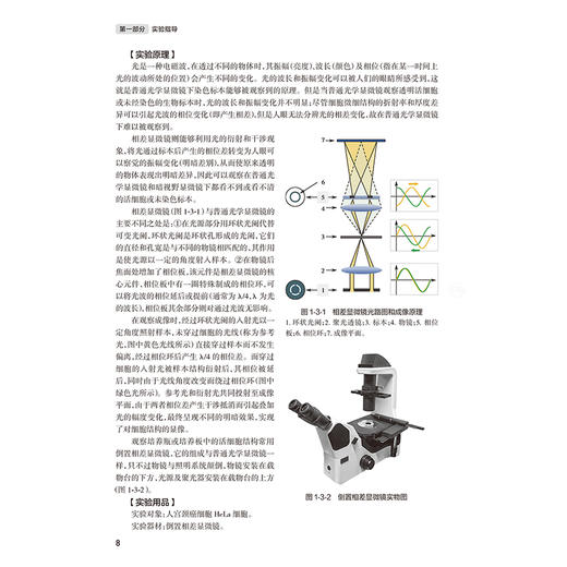 医学细胞生物学实验指导与习题集 第5五版 十四五规划教材配套教材 全国高等学校配套教材 方瑾 主编 9787117384605人民卫生出版社 商品图4