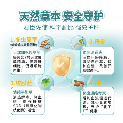 甘乐片  保肝护肝+降血脂 商品图13