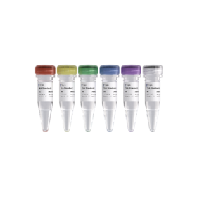 VAHTS Library Quantification Kit for Illumina DNA Standard 1 - 6