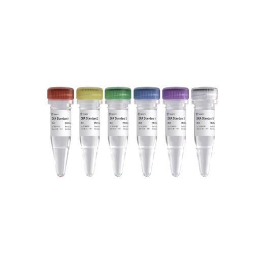 VAHTS Library Quantification Kit for Illumina DNA Standard 1 - 6 商品图0