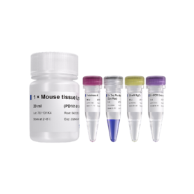 One Step Mouse Genotyping Kit