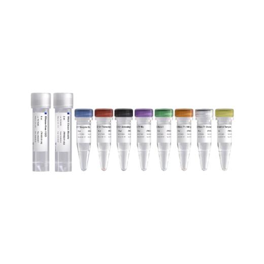 T7 RNAi Transcription Kit 商品图0