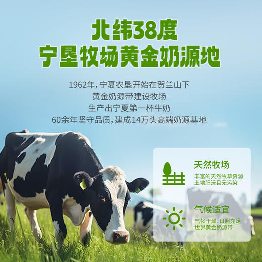 宁垦牧场·认养地球纯牛奶200ml*10盒  配料简单 只有生牛乳 商品图3