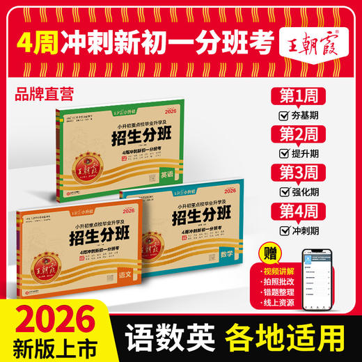 2026小升初重点学校毕业升学招生分班卷冲刺卷语数英各地通用 商品图0