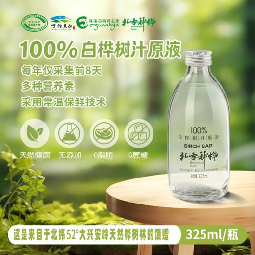 北方神桦 白桦树汁100%原液野生桦树汁水原汁植物饮料 【325ml*4瓶】1箱 商品图0