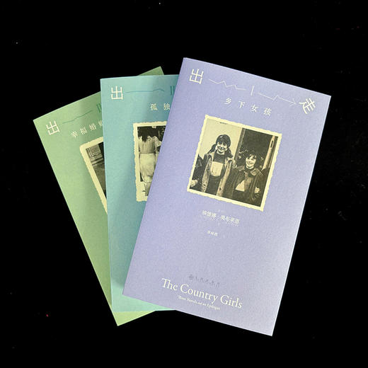 《出走》 “声名狼藉的”爱尔兰国宝级作家惊世骇俗的出道之作，出走，不必然是幸福的终局，却一定是反抗的开端，爱尔兰“天才女友”血泪冲撞的成长寓言，无数普通女孩的命运缩影 商品图1