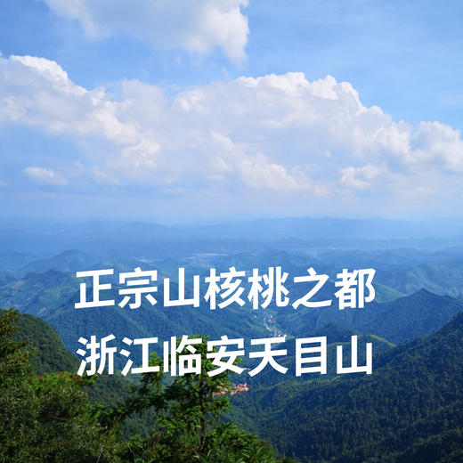 2025年新籽山核桃临安特产大籽特好剥籽 近一周加工 商品图10