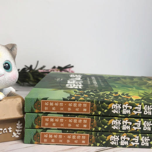 【名家名译世界名著】小学初中青少版名著：绿野仙踪 商品图7