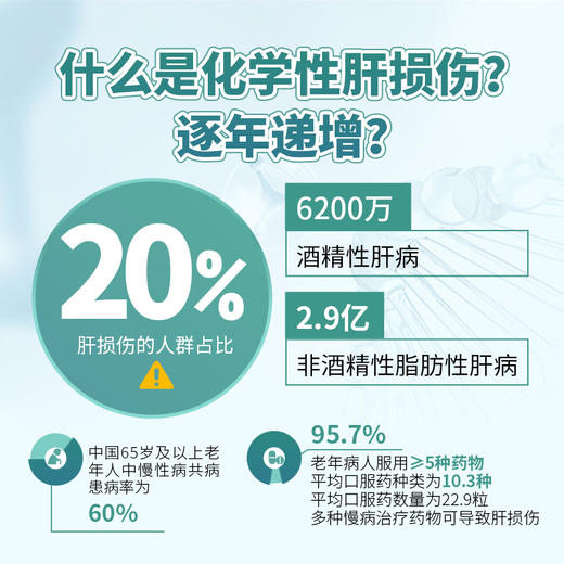 甘乐片  保肝护肝+降血脂 商品图4