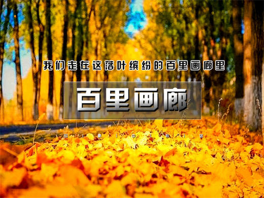 【百里画廊1日】免门票·休闲游览延庆百里山水画廊三大精华点の干沟-硅化木-滴水壶 商品图13