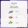 NICOLAI尼柯徕 大君琥珀优雅室内扩香竹 商品缩略图1