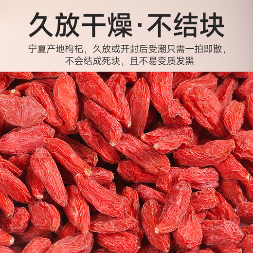 红手提枸杞 商品图3