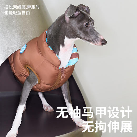 zeze条纹宠物保暖夹克-B（包邮） 商品图2