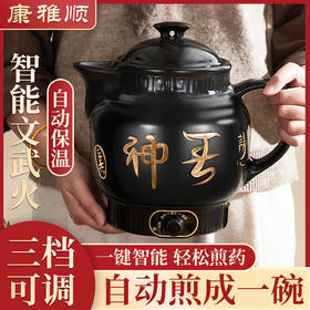 【全自动中药电煎壶】家用一体煎药中医砂锅 养生壶熬药煲专用炖煮药罐