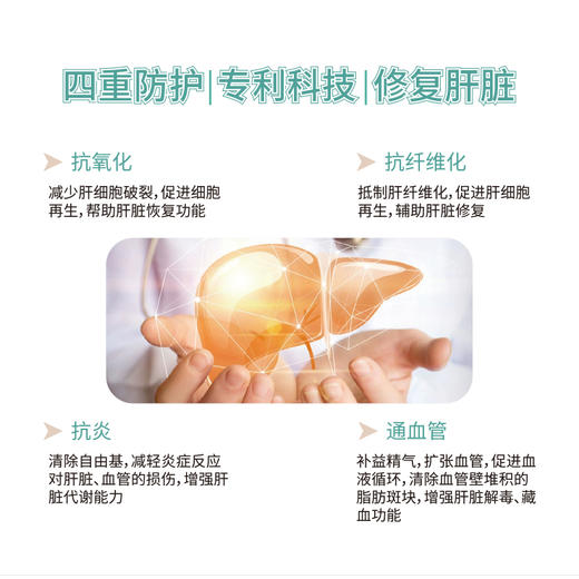 甘乐片  保肝护肝+降血脂 商品图5