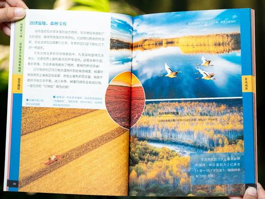 《地理di一课：写给青少年的国.家地理》（全8册） 商品图7