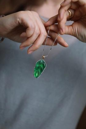 绿叶子 | 静谧之美与打开的惊喜