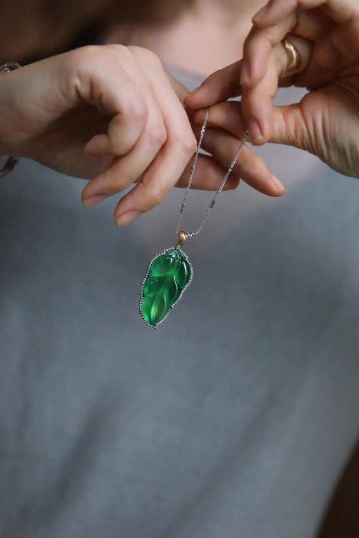 绿叶子 | 静谧之美与打开的惊喜 商品图0