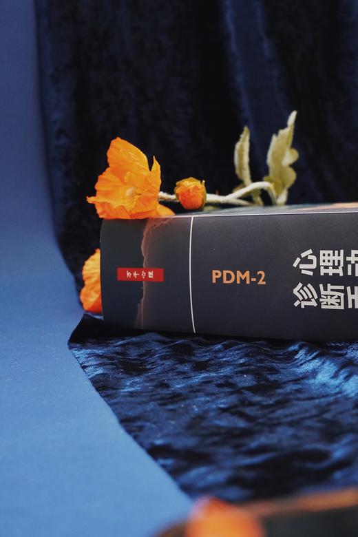 万千心理·心理动力诊断手册（原著第二版）首刷赠送【诊断分类索引桌垫】 商品图8